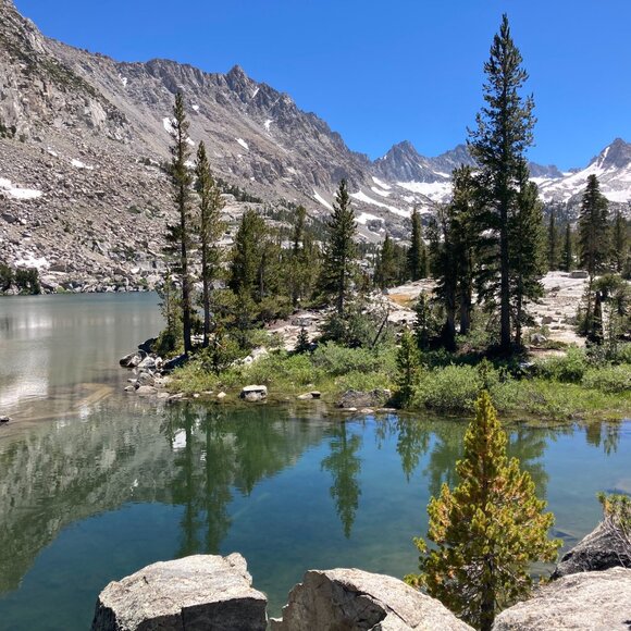 Meet your Posher, Cat - Picture 2 of 3